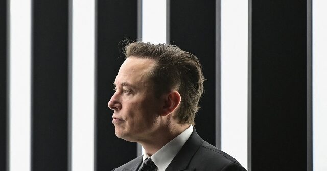 Tesla Faces Significant Sales Decline in Europe