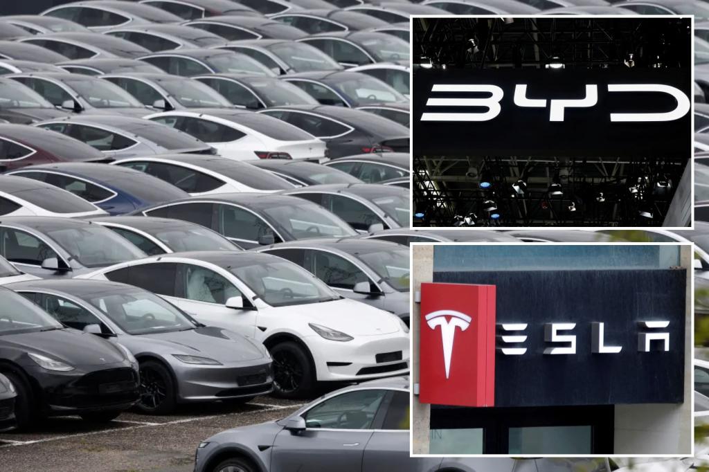 Tesla's sales in Europe fall for the fifth consecutive month due to damage to the brand linked to Elon Musk.