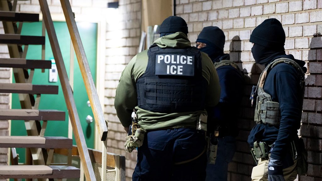 Texas GOP Representative urges Trump to focus on 'aggravated felons' in detentions