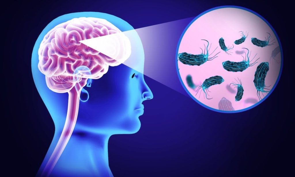 Texas woman passes away after using nasal irrigation device contaminated with brain-eating amoeba