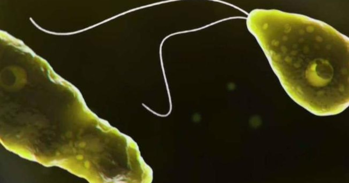 Texas woman passes away from brain-eating amoeba after rinsing sinuses with tap water