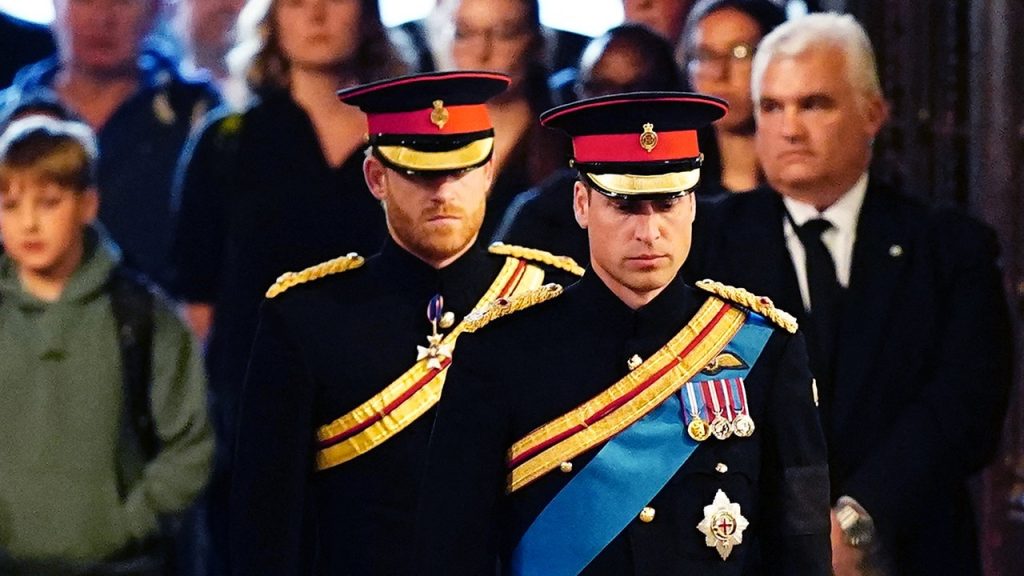 The divide between Prince Harry and Prince William grows over 'silence,' says expert