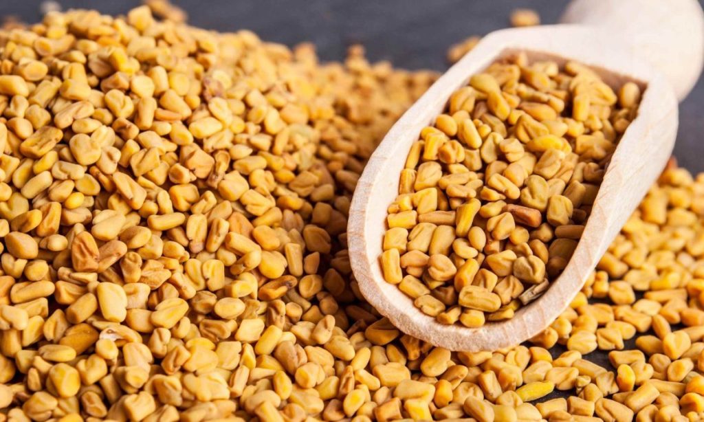 This seed contains high levels of protein and magnesium, promoting muscle growth.