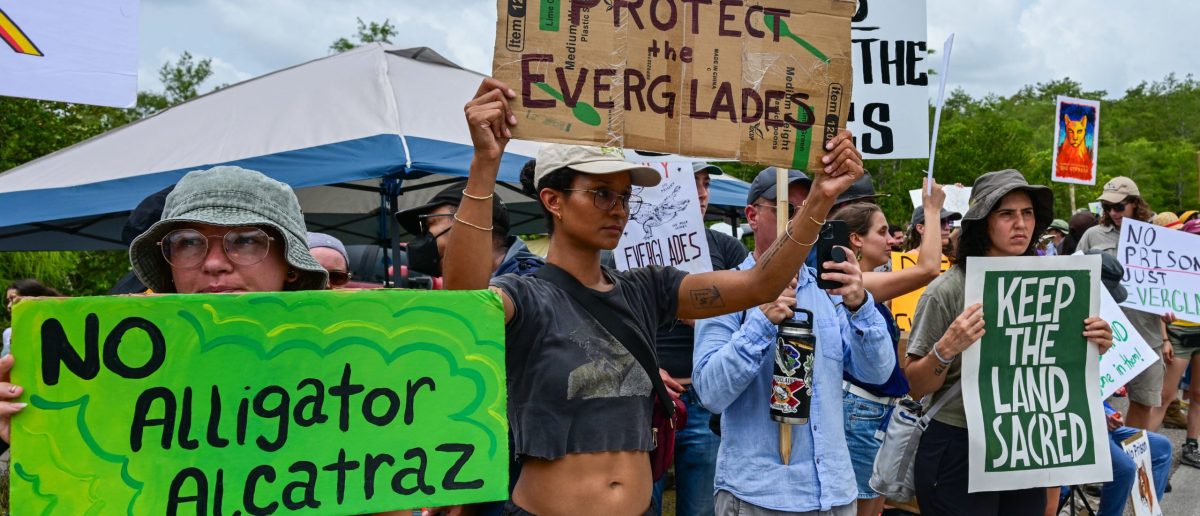 'Those I Know Are In Tears': Many Come Together To Oppose Building Immigrant Detention Center 'Alligator Alcatraz'