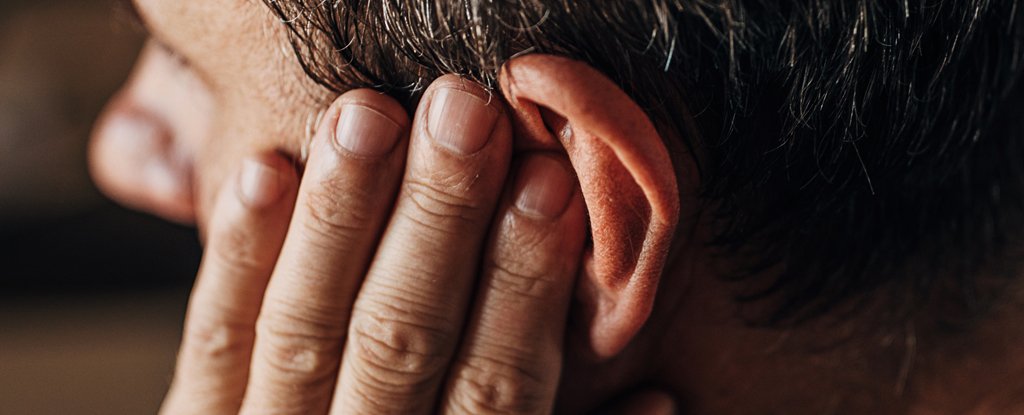 Tinnitus Appears to be Connected to an Important Body Function