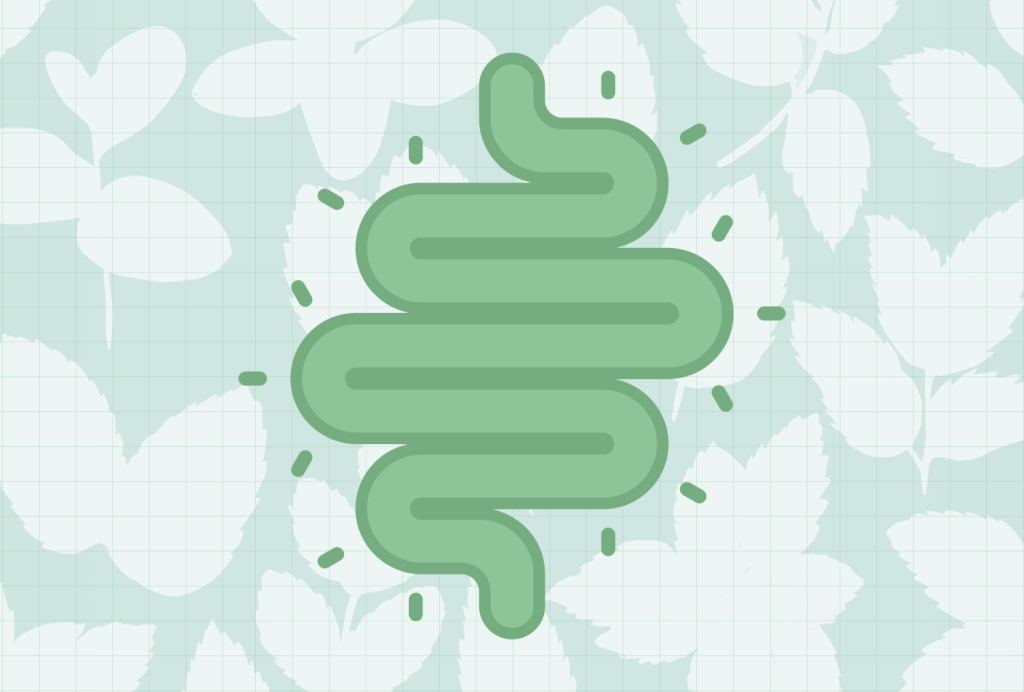 Top Herb for Digestive Wellness, as Recommended by Nutrition Experts