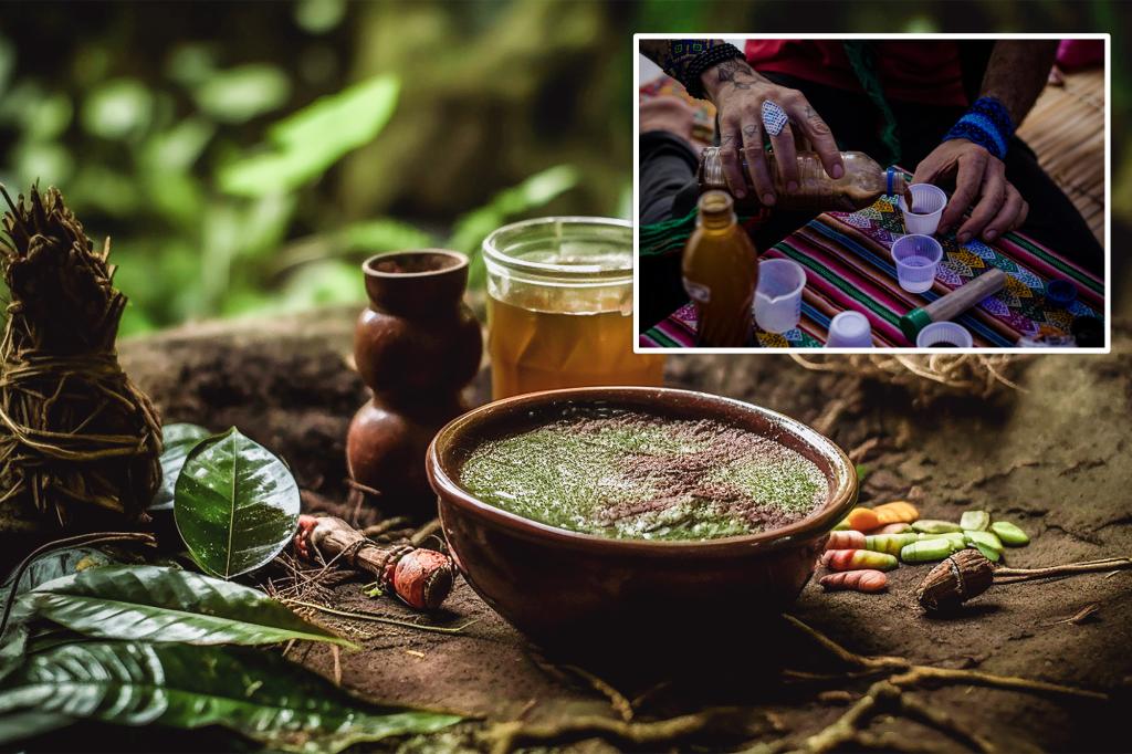 Tourist Aaron Castranova passed away in Peru after consuming psychedelic tea at a spiritual retreat.