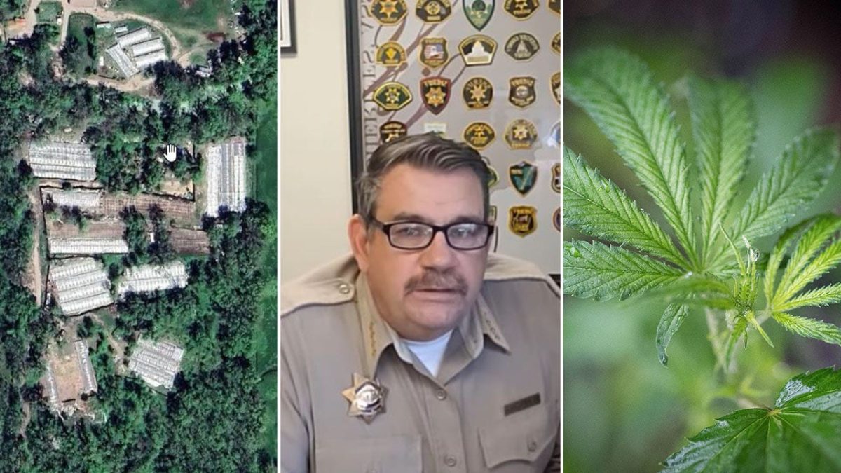 Tribe in California sues sheriff over marijuana raids on tribal land involving cartel allegations