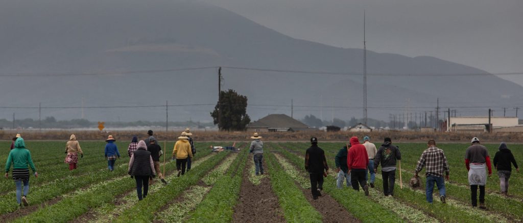 Trump Claims Farmers Are Suffering Due to Immigration Enforcement
