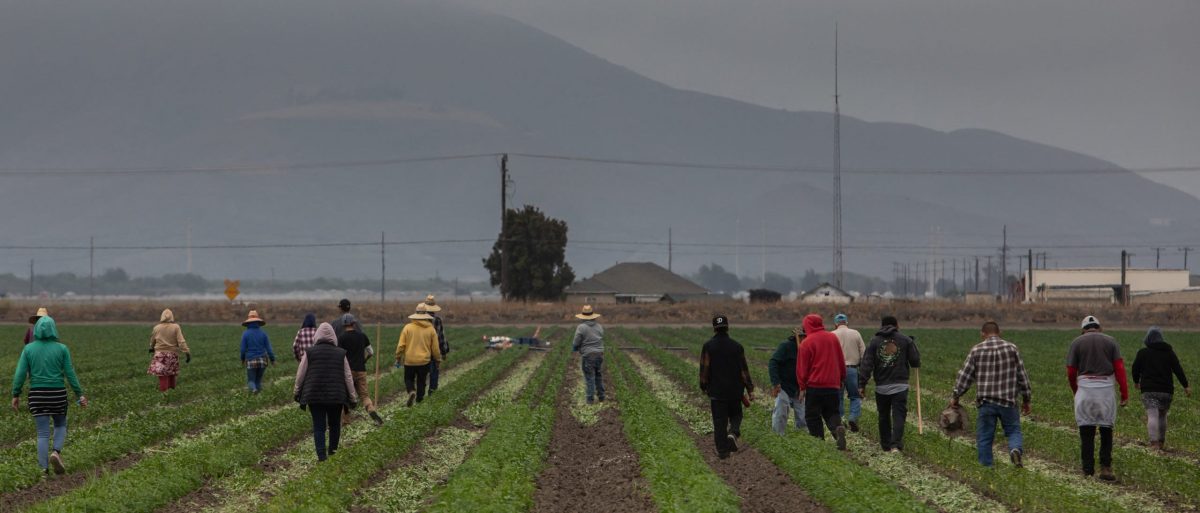 Trump Claims Farmers Are Suffering Due to Immigration Enforcement