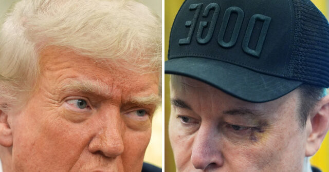 Trump Suggests Ending Elon Musk's Government Funding and Agreements