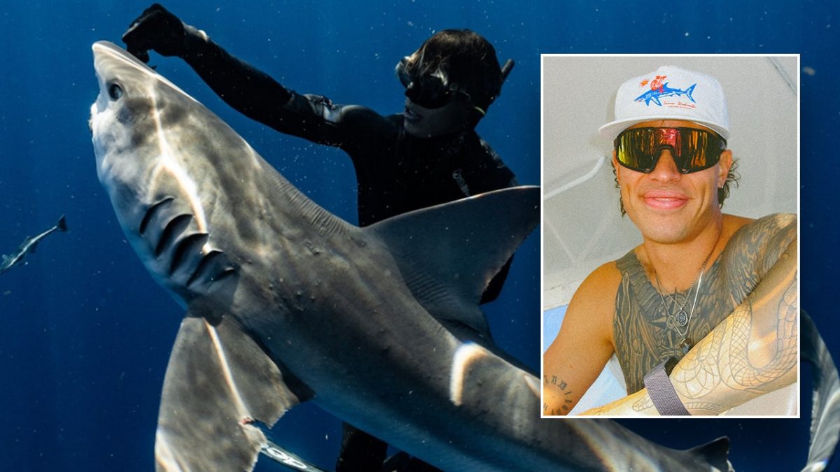 Trump grants pardon to Florida diver who released sharks