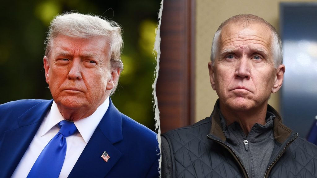 Trump marks Tillis' retirement following his vote against the bill.