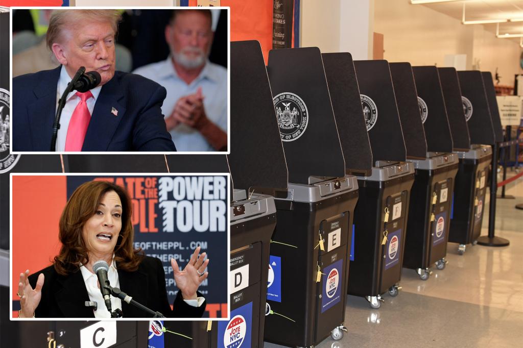 Trump would have still defeated Harris even if every eligible voter participated in the 2024 election, according to analysis