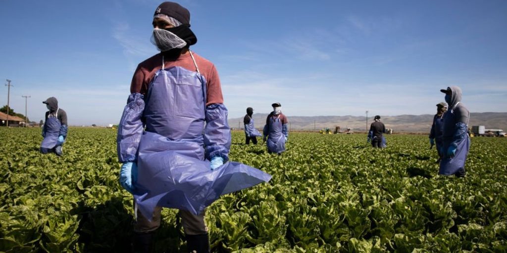 Trump's ICE initially protects farmers from raids, then changes direction to fulfill mass deportation commitment.