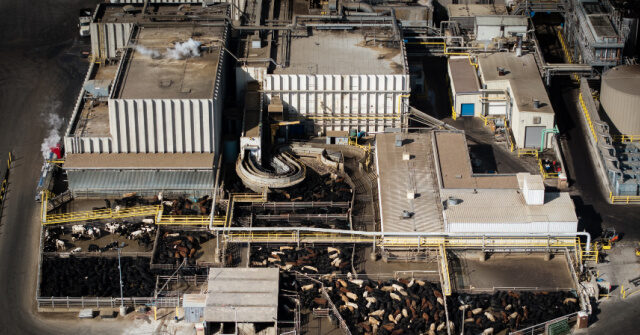 Trump's Policies Reduce Migration and Increase Wages