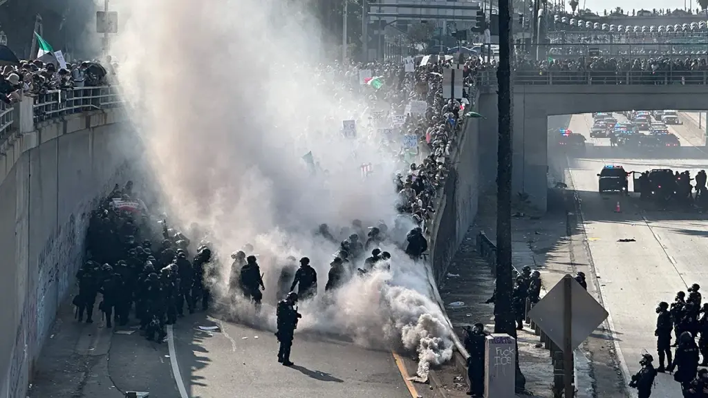 Trump's decision to send the National Guard to LA is described as the 'true emergency'