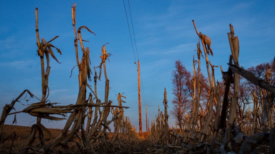 Trump's reductions to NOAA and NASA are leaving farmers unaware of risks, scientists caution