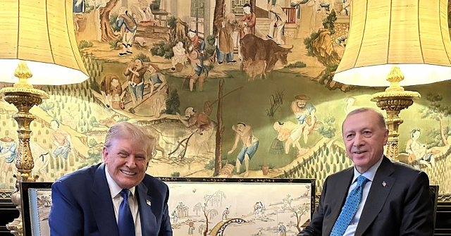 Turkey's Recep Erdogan Praises 'My Friend Trump' Following NATO Gathering