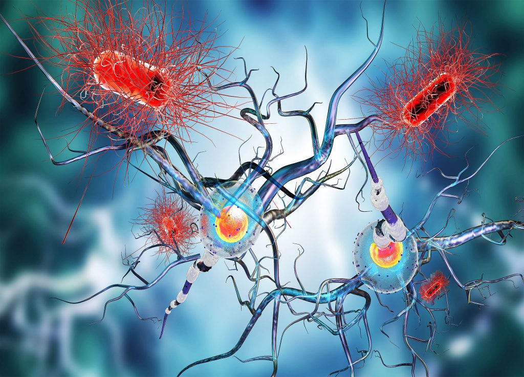 Two bacteria found as potential triggers of multiple sclerosis