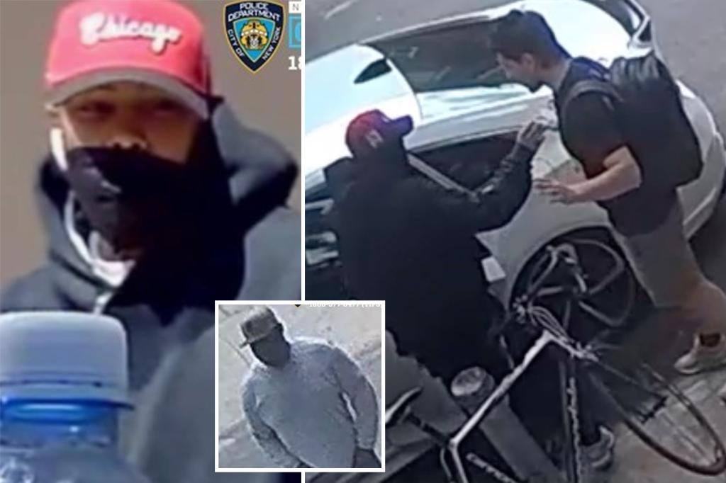 Two dog thieves take two French bulldogs from a New York City home amidst a series of violent robberies, police say