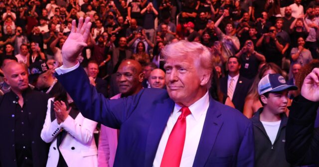 UFC Fans Share Their Thoughts on Trump's Presence at the Fights: 'He's One of Us'