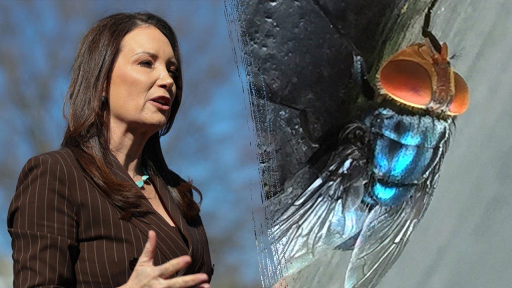 US to establish an $8.5 million facility to fight a flesh-eating parasite close to the border