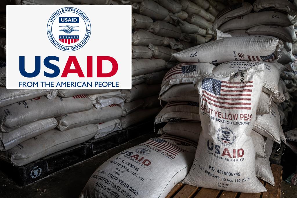 USAID official admits guilt in $550M bribery scheme: ‘Betrayed the public trust’