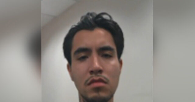 Undocumented Immigrant Charged with Attempted Murder for Throwing Molotov Cocktail