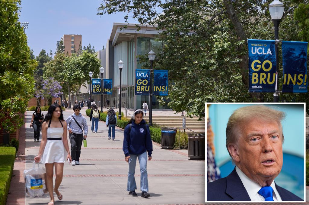 University of California system advocated for DEI training ahead of Trump discrimination investigation: 'Equality isn't equitable'