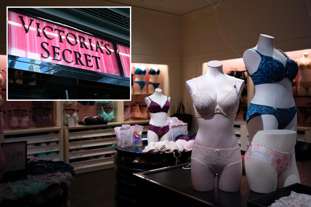 Victoria's Secret postpones earnings announcement due to website shutdown from a security issue.