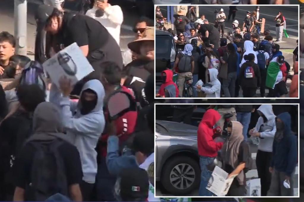 Video captures anti-ICE protester distributing tactical equipment in Los Angeles