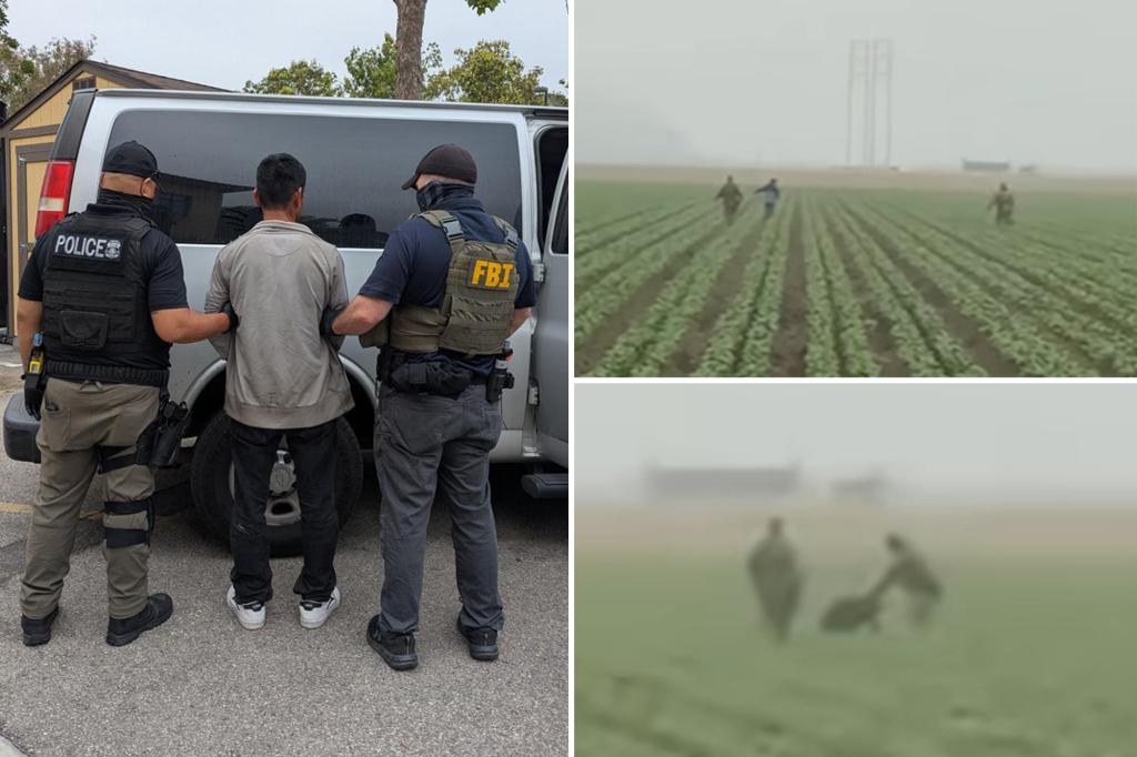 Video shows ICE agents pursuing farmworkers in recent California raid.