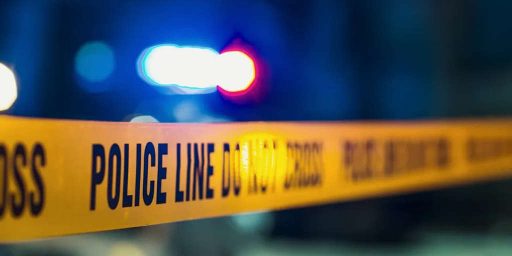 Voice actor from 'King of the Hill' reportedly killed by neighbor; heartfelt tributes emerge: 'A terrible tragedy'