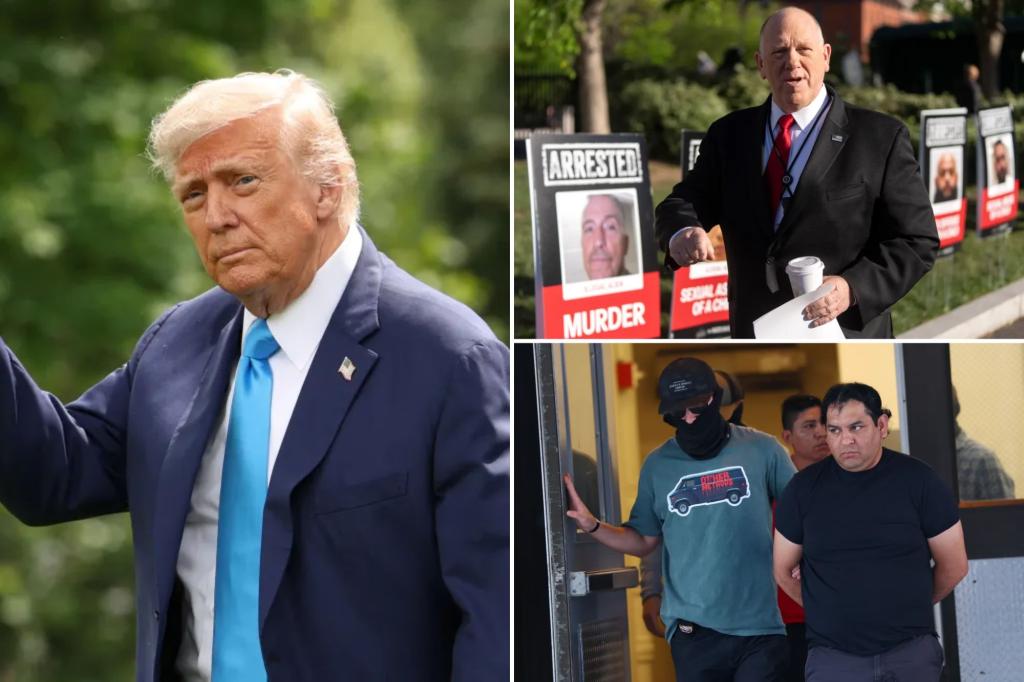 Voters give positive feedback on Trump's deportation efforts, according to a poll