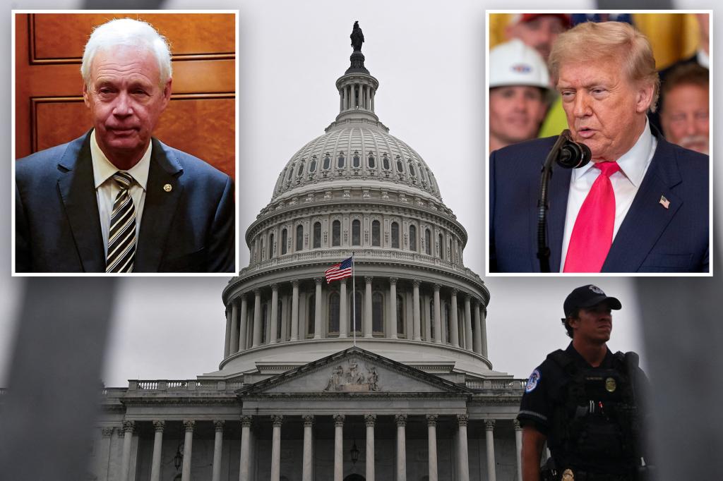 Voting is about to start on Trump's 'great big proposal'