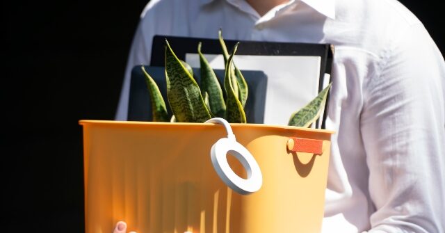 Walmart Dismisses Tech Employees in Silicon Valley