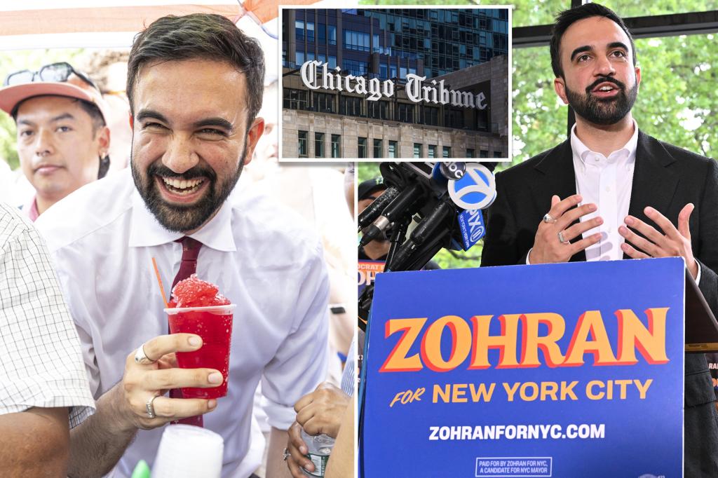 Warning issued about choosing a socialist mayor like Zohran Mamdani in NYC