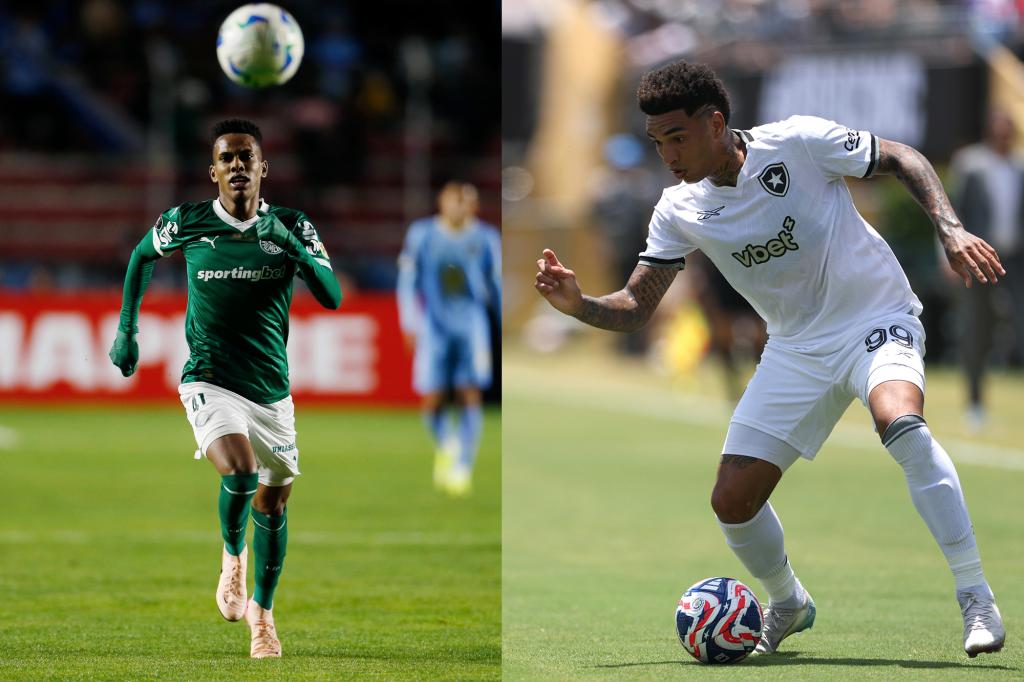 Ways to view Palmeiras vs. Botafogo