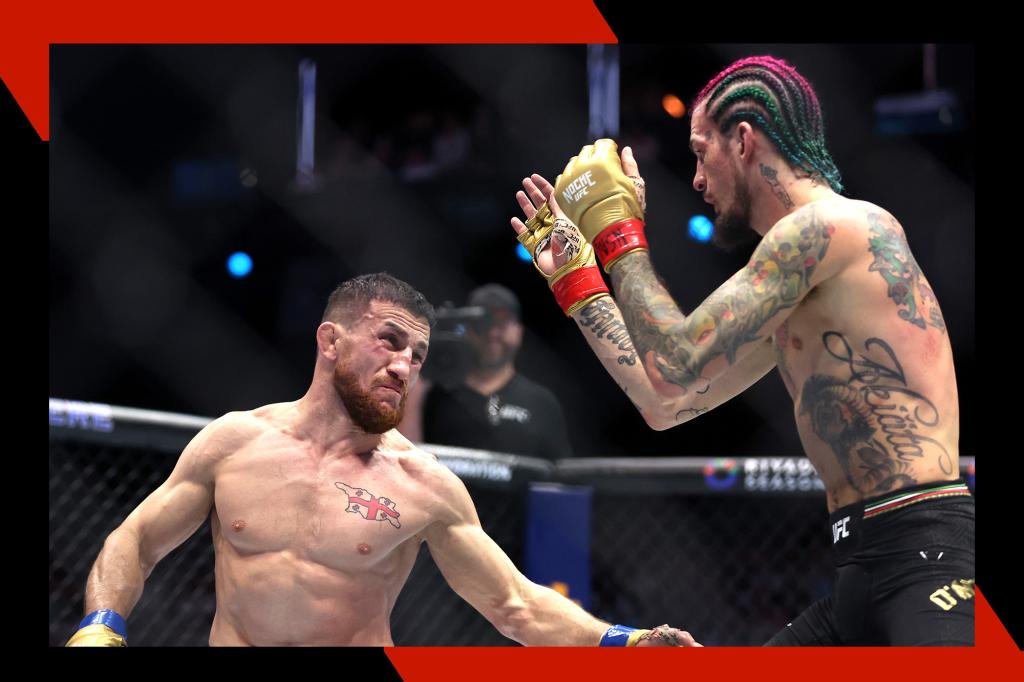 What is the cost of tickets for UFC 316 to watch O'Malley take on Dvalishvili?