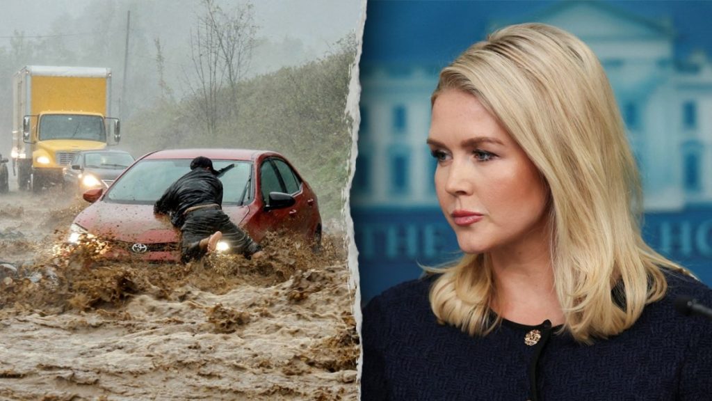 White House slams careless reporting on FEMA