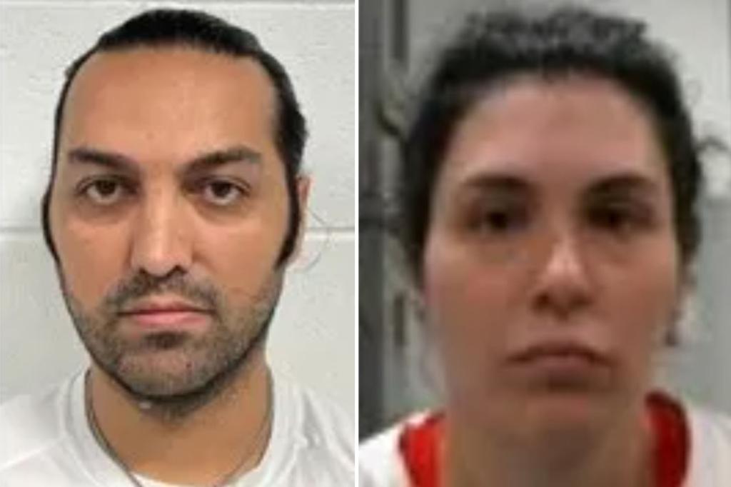 Wife of Iranian undocumented immigrant reportedly threatened to shoot ICE agents during husband's arrest попытка