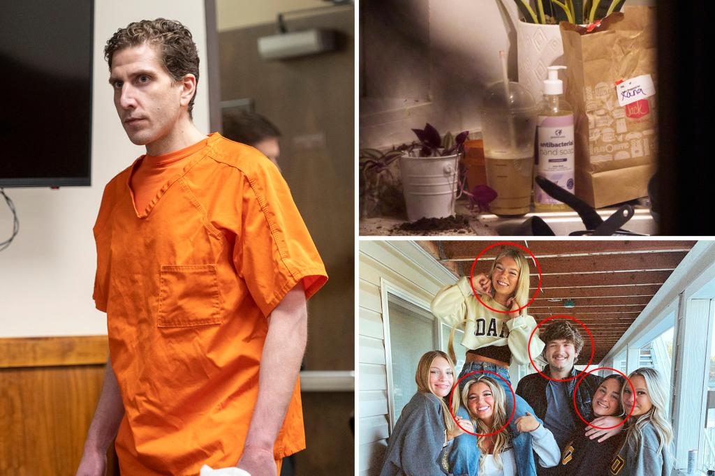 Woman claiming to be a DoorDash driver during Idaho murders appears unexpectedly as a witness at the Kohberger trial: 'Saw Bryan there'