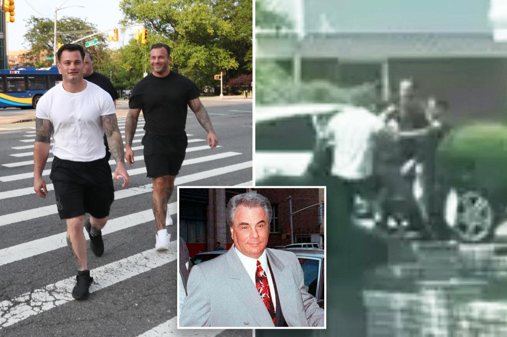 Woman involved in reported attack on Gotti grandchildren: Video