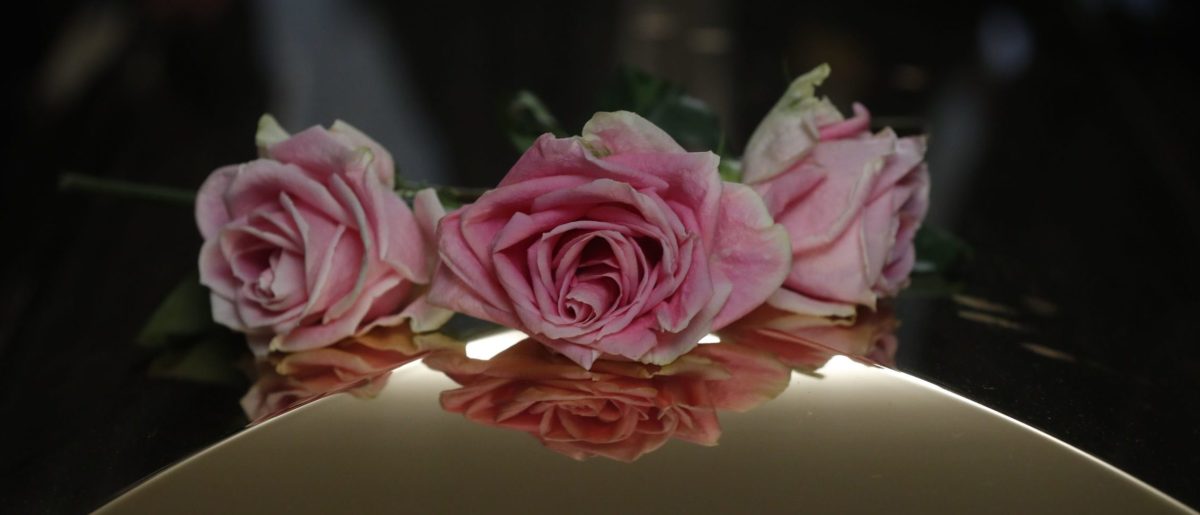 ‘Fried Green Tomatoes’ Actor Gailard Sartain Passes Away at 78