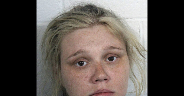 '16 and Pregnant' Star Whitney Purvis Taken into Custody for Involuntary Manslaughter