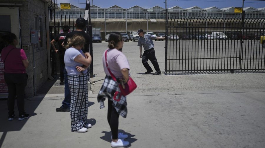 200 people detained, one fatality during disruption at California cannabis farm immigration operation