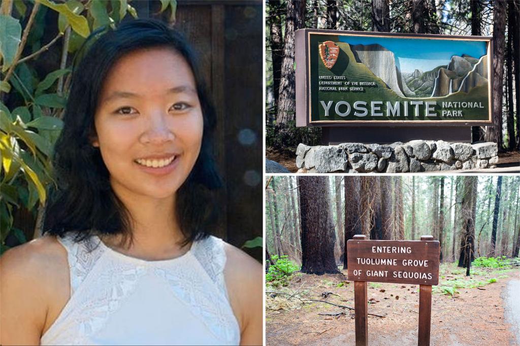29-year-old Google engineer loses life in unexpected incident on a well-known Yosemite trail