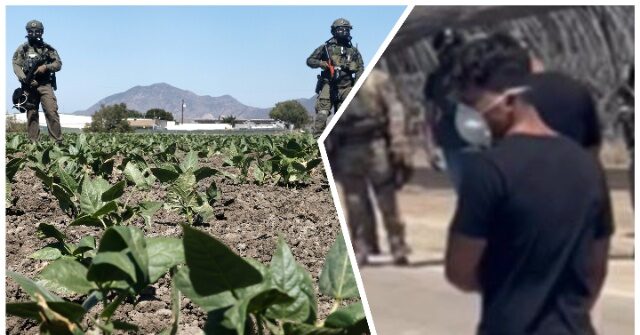 $50,000 Reward Offered for Individual Accused of Shooting at Federal Agents at California Marijuana Farm