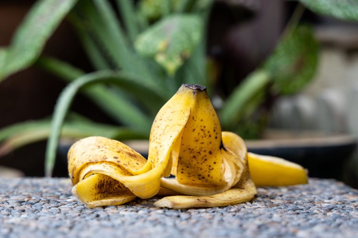 7 Unexpected Reasons to Keep Your Banana Peel